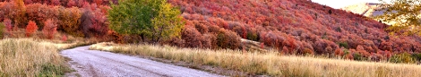 Red Hillside. 10/4/13 5:30 pm. Mantua Utah. f/10 1/25. Nikon D3100